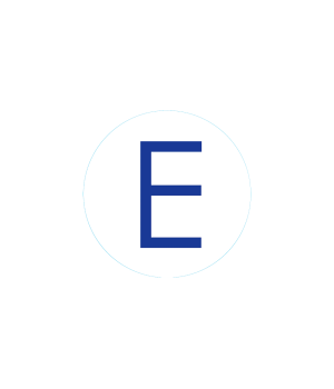 Bogg Bit - Initial "E"