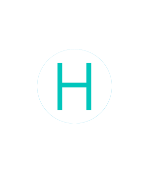Bogg Bit - Initial "H"