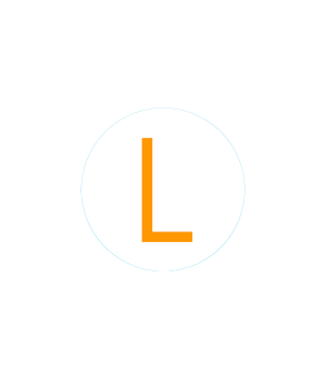 Bogg Bit - Initial "L"