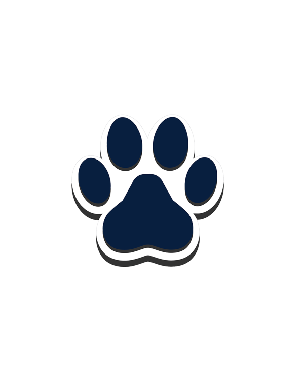 BIT02_PAW01_A