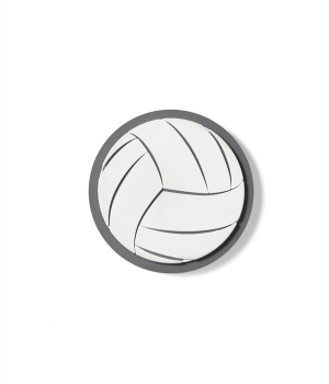 Bogg Bit  - Volleyball