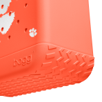 BRG100000_CLEM_E
