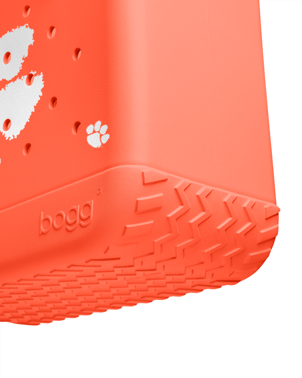 BRG100000_CLEM_E