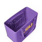 BRG100000_LSU_C