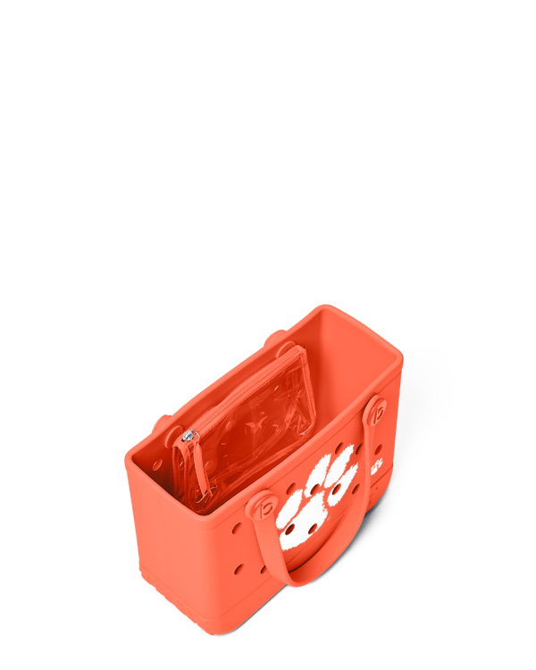 BRG140000_CLEM_C
